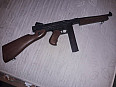 Thompson SW AEG