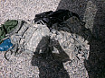 US Army batoh assault pack UCP ACU MOLLE II 3 DAY PACK