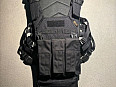 Plate carrier