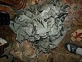 US Army STUFF sack bag U.S. COMPRESSION 