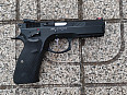 ASG CZ SP01 SHADOW