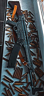 Koupím stg44 