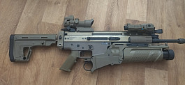 Scar H