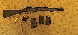 M14