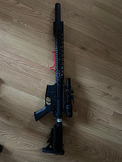 M4 DMR