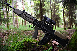 ICS L85 A2 + Susat