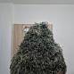 Ručně dělaný ghillie suit