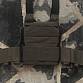 Plate Carrier LV/119 Ranger Green