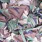 US Army wdl woodland MOLLE II Waist Pack suistanment pouch taška chem