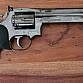 Dan Wesson ASG