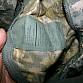 US Army 3D UCP ACU SUMKY molle II pouch U.S. Digital