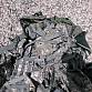 US Army UCP ACU FLC Camelbak SUMKY molle II pouch U.S. Digital