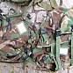 US Army WDL SDS batoh pack patrol molle II combat  woodland U.S.