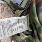 US Army WDL SDS batoh pack patrol molle II combat  woodland U.S.