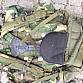 US Army WDL SDS batoh pack field pack CPF 90 LARGE woodland U.S.