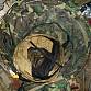 US ARMY WDL woodland coyote CATOMA BED NET moskytiéra stan 